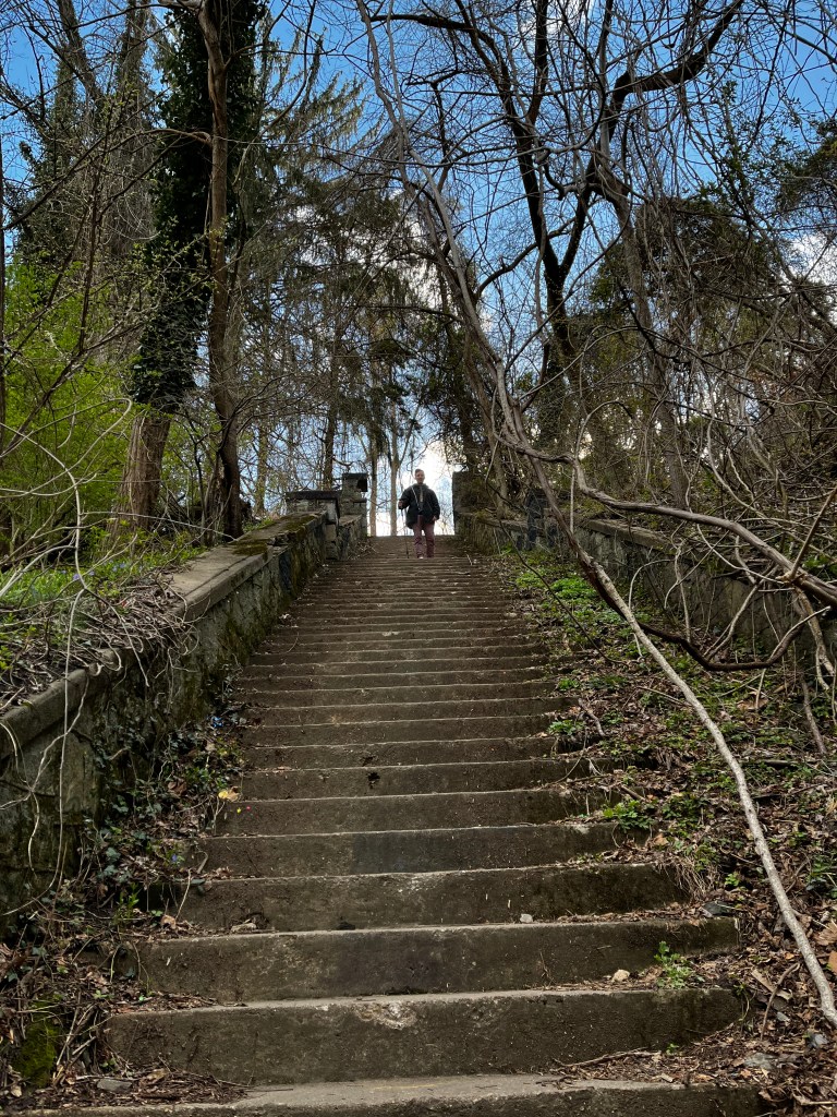 Dejando el Camino&nbsp;Angosto
